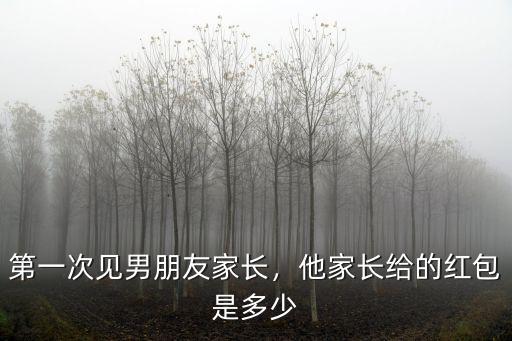 廣東陽(yáng)江第一次見家長(zhǎng)給多少紅包,第一次見男朋友家長(zhǎng)