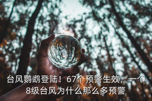 廣東臺風鸚鵡登陸會有多少級,臺風鸚鵡登陸廣東陽江