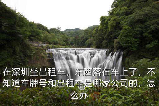 在深圳坐出租車，東西落在車上了，不知道車牌號和出租車是哪家公司的，怎么辦