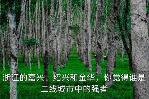 嘉興有多少個二線城市,浙江嘉興屬于幾線城市呢