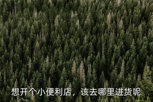 佛山便利店在哪里進(jìn)貨便宜,該去哪里進(jìn)貨呢