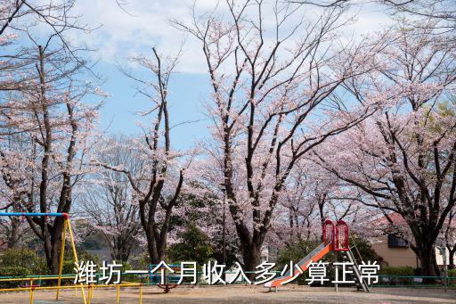 濰坊一年稅收多少,濰坊一個月收入多少算正常