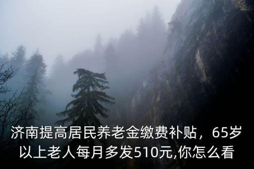 濟南65歲以上有多少人2015,65歲以上老人每月多發5