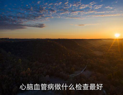 心腦血管病做什么檢查最好