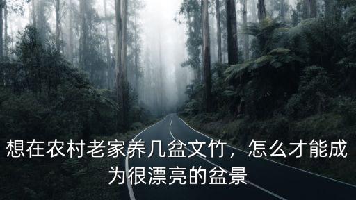 廣東文竹盆景怎么養(yǎng),想在農(nóng)村老家養(yǎng)幾盆文竹