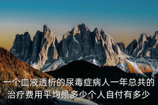 一個血液透析的尿毒癥病人一年總共的治療費用平均是多少個人自付有多少
