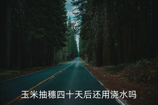 玉米抽穗四十天后還用澆水嗎