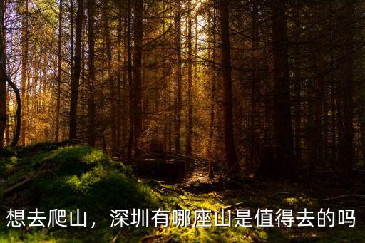 想去爬山，深圳有哪座山是值得去的嗎