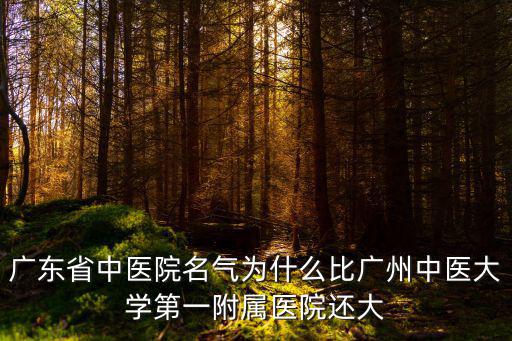 廣州中醫(yī)院醫(yī)院怎么樣好不好,廣州中醫(yī)藥大學(xué)怎么樣