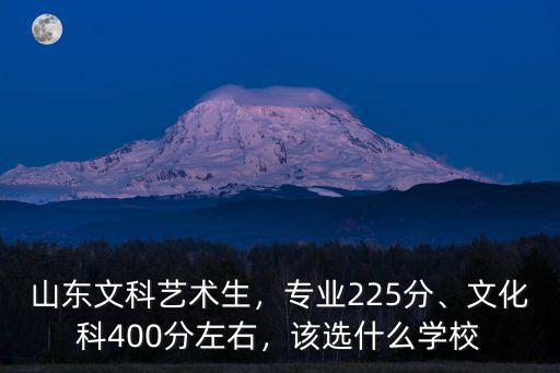 山東省有多少文科藝術生,山東文科藝術生