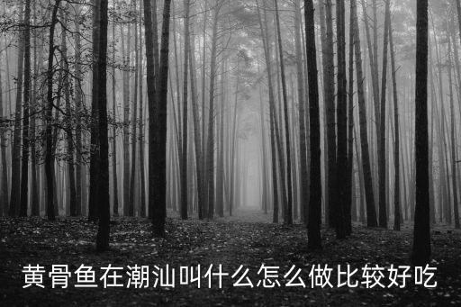 黃骨魚在潮汕叫什么怎么做比較好吃