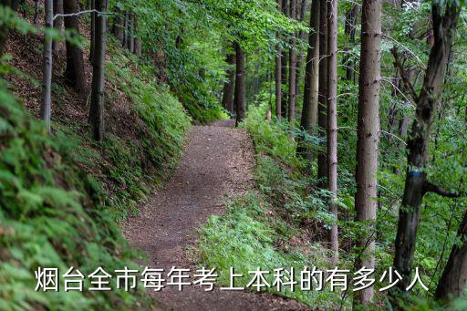 在山東考上二本大學的有多少人,考上公辦二本難度有多大