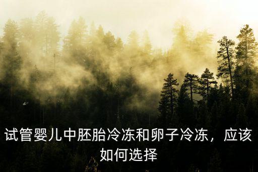 試管嬰兒中胚胎冷凍和卵子冷凍，應該如何選擇