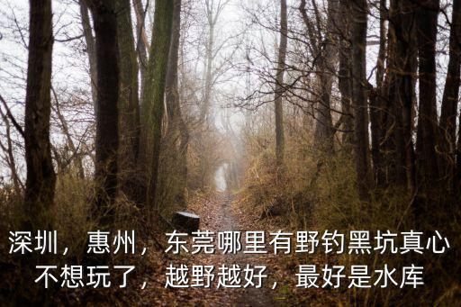 東莞萬江哪里有水庫可以釣魚,東莞有哪些可以釣魚的地方