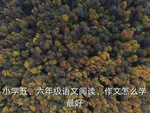 佛山小學(xué)語(yǔ)文閱讀作文哪里好,六年級(jí)語(yǔ)文閱讀