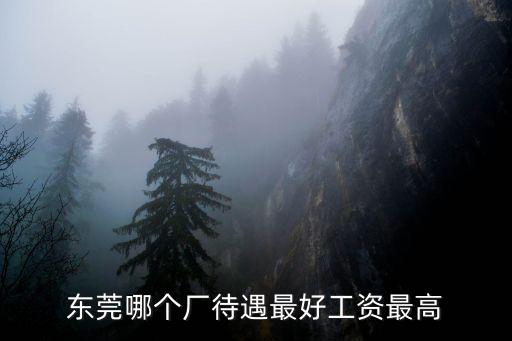 東莞哪里有噴油工資高,過完年去東莞進什么廠工資高
