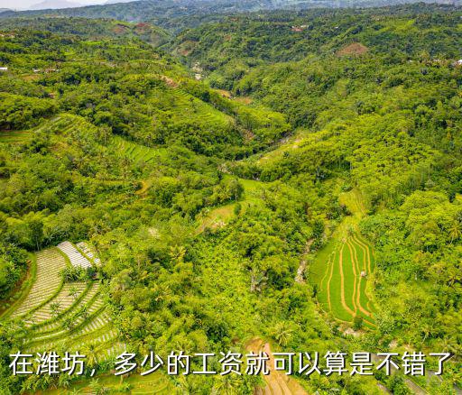 山東濰坊叫楊麗的有多少人,濰坊的名人有誰