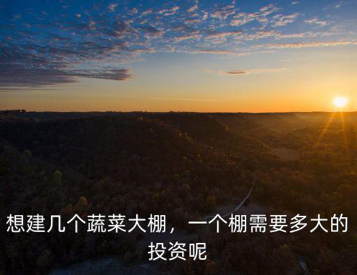 山東蔬菜大棚投資多少,想建幾個蔬菜大棚