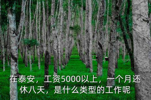 泰安編制的基本工資是多少,是什么類型的工作呢