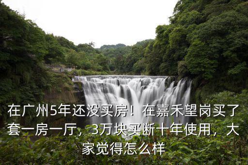 在廣州5年還沒買房！在嘉禾望崗買了套一房一廳，3萬塊買斷十年使用，大家覺得怎么樣