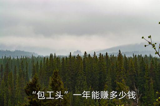 “包工頭”一年能賺多少錢