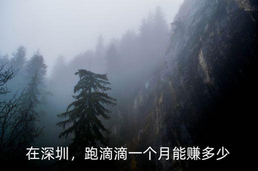 在深圳，跑滴滴一個月能賺多少