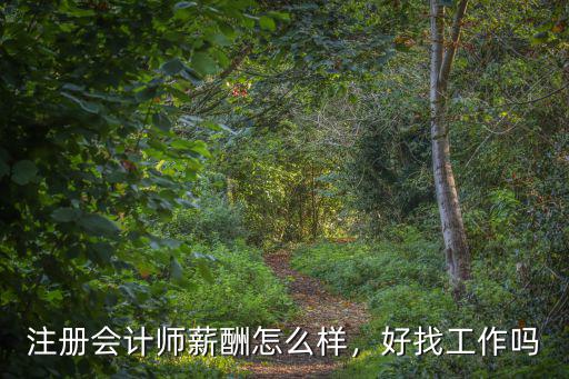 浙江注冊(cè)會(huì)計(jì)師薪資多少,注冊(cè)會(huì)計(jì)師一般工資多少