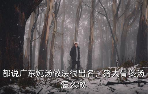 廣東靚湯怎么做視頻,豬大骨煲湯怎么做