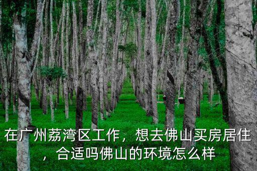 廣州荔灣區買房怎么樣,在廣州荔灣區工作