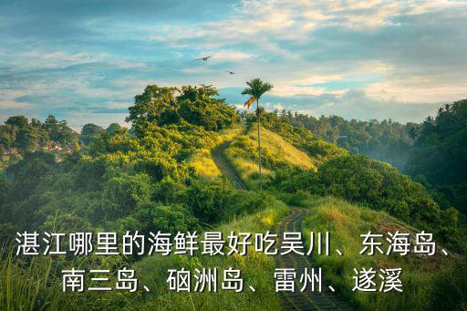 湛江海味館哪里好吃,湛江哪家海鮮大排檔比較好吃