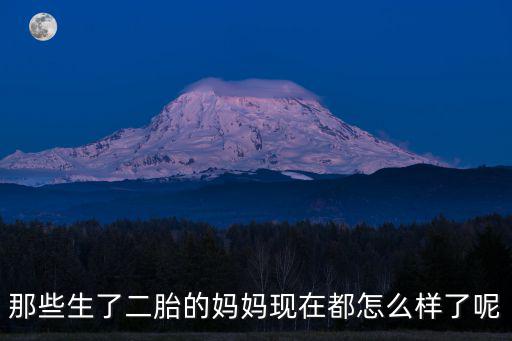 那些生了二胎的媽媽現在都怎么樣了呢