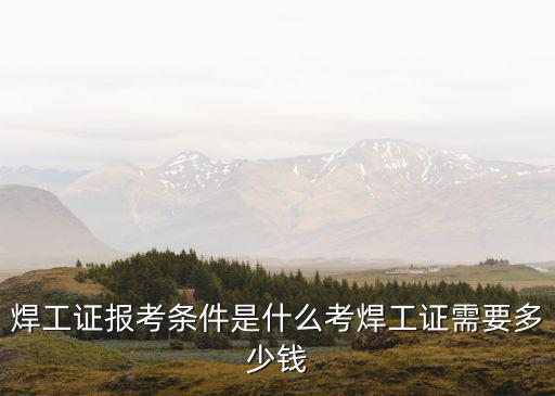 濰坊報考電焊證要多少錢,考焊工證需要多少錢