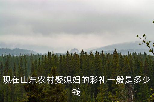現在山東農村娶媳婦的彩禮一般是多少錢