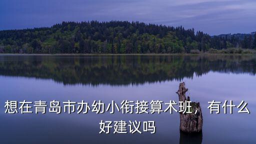 想在青島市辦幼小銜接算術班，有什么好建議嗎