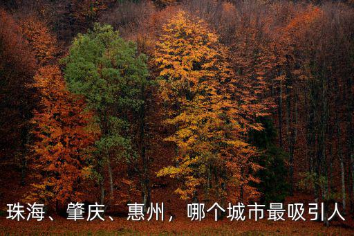 珠海、肇慶、惠州，哪個城市最吸引人