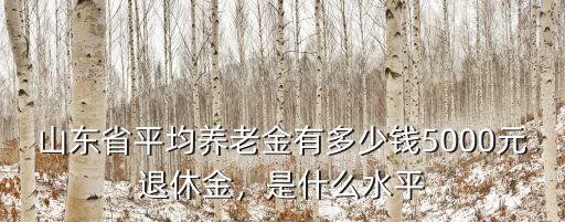 山東省平均養(yǎng)老金有多少錢(qián)5000元退休金，是什么水平