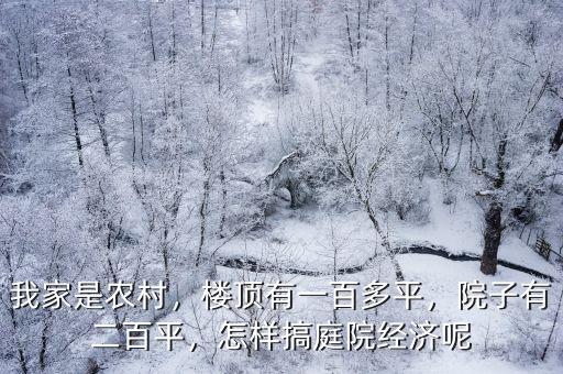 我家是農村，樓頂有一百多平，院子有二百平，怎樣搞庭院經濟呢