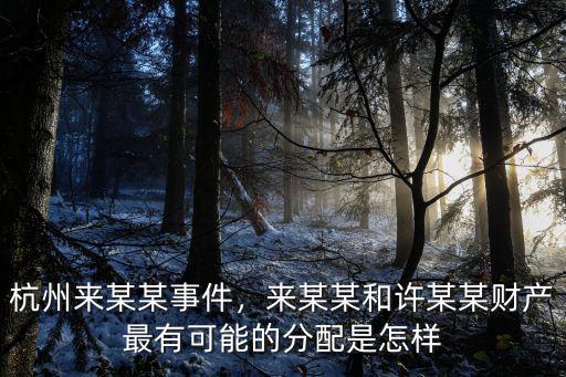 杭州來某某事件，來某某和許某某財產最有可能的分配是怎樣