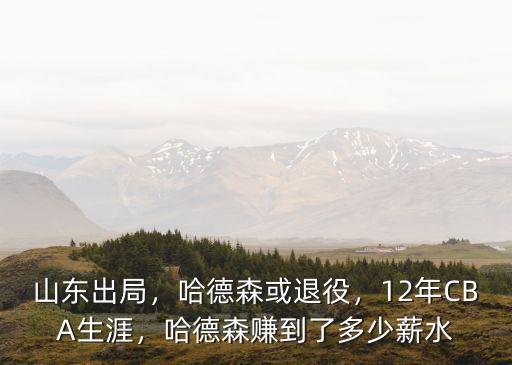 山東多少錢簽的哈德森,哈德森賺到了多少薪水