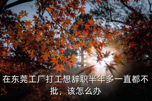 東莞小廠辭工不了怎么辦,在東莞一工廠上班7年