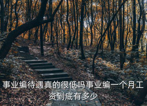 衢州事業編工資有多少,事業編一個月工資到底有多少