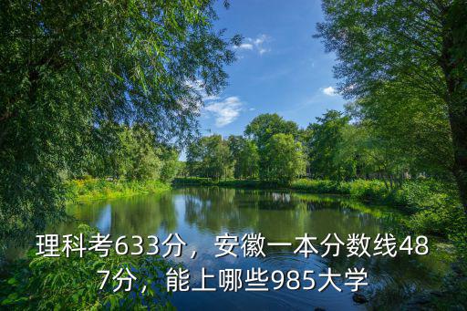 理科考633分，安徽一本分數線487分，能上哪些985大學