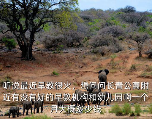 廣州早教機構多少錢一個月,聽說最近早教很火