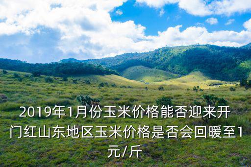 19年3月份山東玉米價格是多少錢,2019年3月份