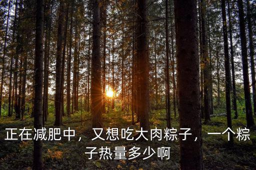 嘉興粽子熱量多少,一個(gè)粽子熱量多少啊