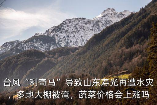 臺風(fēng)“利奇馬”導(dǎo)致山東壽光再遭水災(zāi)，多地大棚被淹，蔬菜價格會上漲嗎