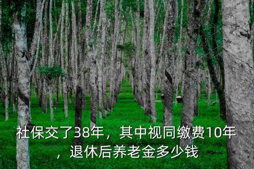 廣東懷集社保退休金大概多少錢,社保交了38年