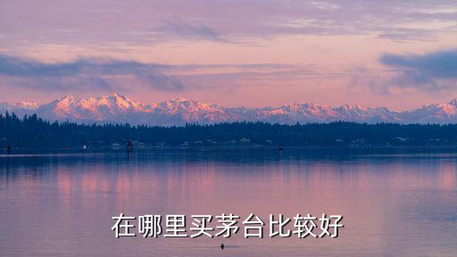 在哪里買茅臺比較好