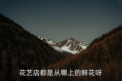 花藝店都是從哪上的鮮花呀
