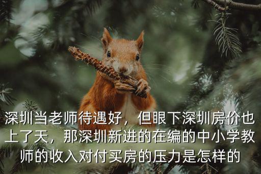 深圳當老師待遇好，但眼下深圳房價也上了天，那深圳新進的在編的中小學教師的收入對付買房的壓力是怎樣的